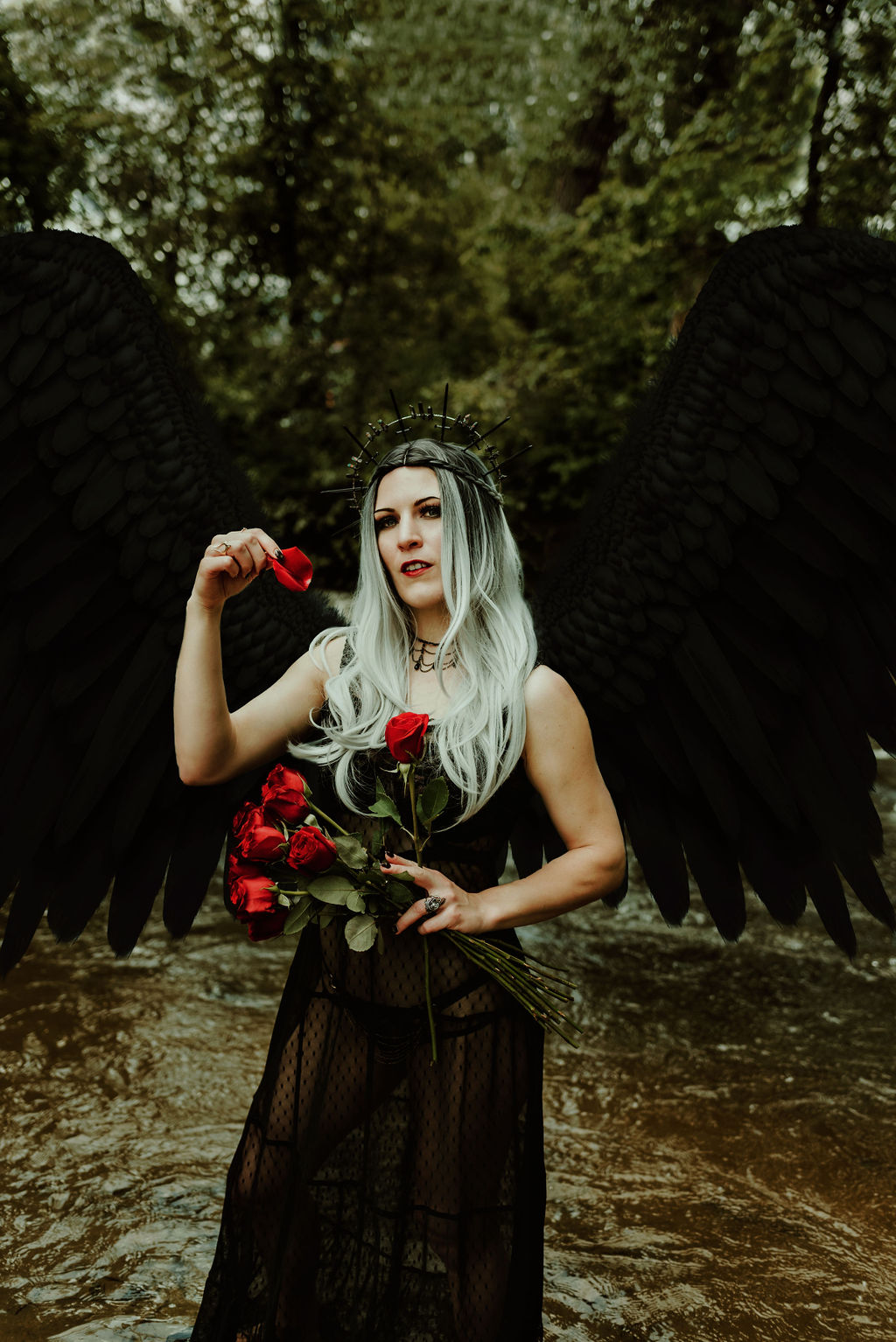 A person with large black wings stands in a shallow stream in a forest. The person is wearing a black dress with a sheer skirt and a flower crown made of red roses. The person is holding a red rose in their hand.