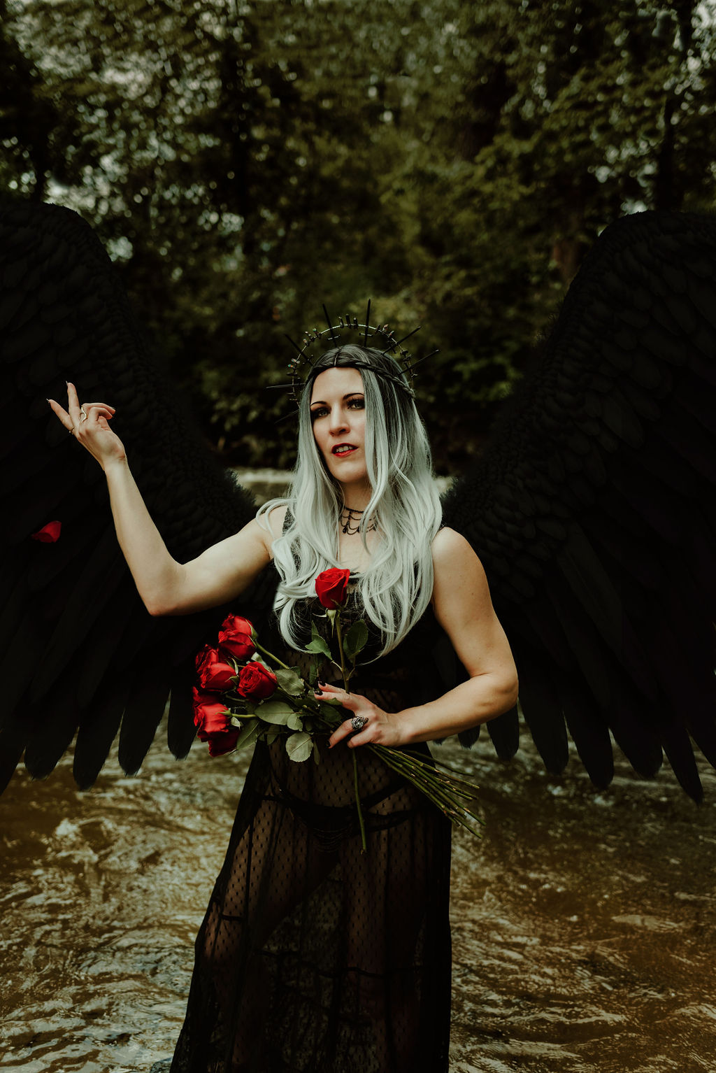 Fantasy photo of a person with large black wings stands in a shallow stream in a forest. The person is wearing a black dress with a sheer skirt. The person is holding a red rose in their hand.